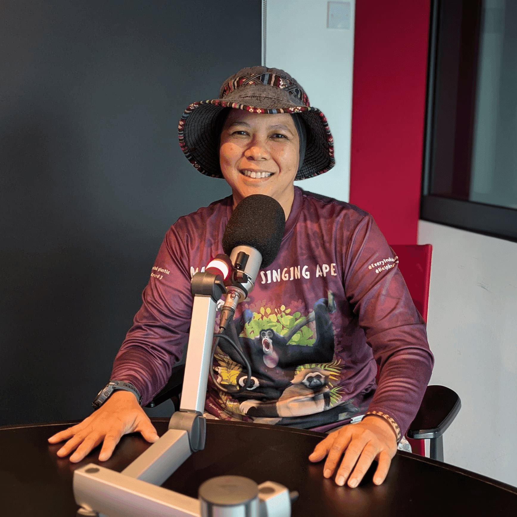 podcast image