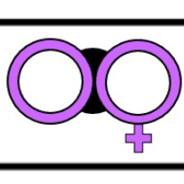 podcast image