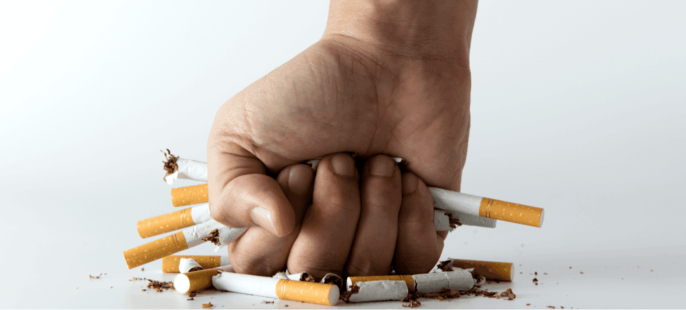 where to buy cigarette tubes near me Gambler Cigarette Tubes | Tube Cut | Regular Kings